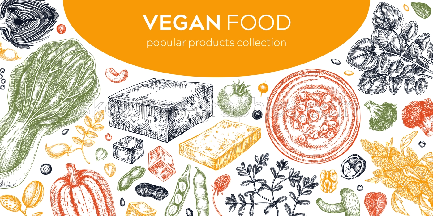 Vegan food illustration in color. Healthy food banner template. Middle eastern cuisine frame. Hand drawn vegan meals and ingredients for menu, recipe, packaging design. Vegan food background Illustration